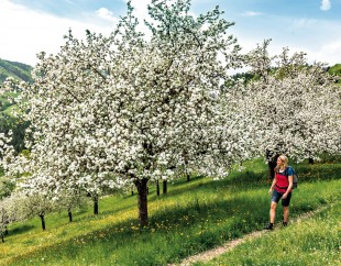 Artikel-Bild