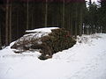 2010-02 Wittekindsweg Nonnenstein-Heidbrink 018.jpg