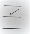 Check Mark.png