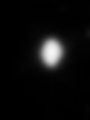 Thebebhionn.png