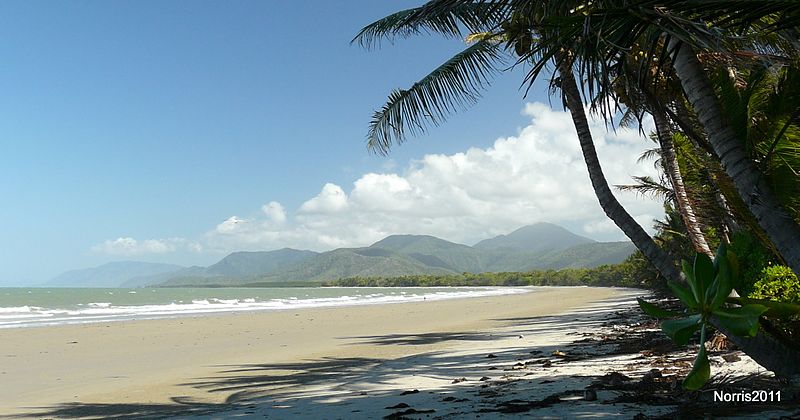 File:" Palm " Beach. Port Douglas. - panoramio.jpg