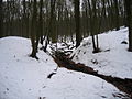2010-02 Wittekindsweg Nonnenstein-Heidbrink 084.jpg