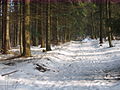 2010-02 Wittekindsweg Nonnenstein-Heidbrink 010.jpg