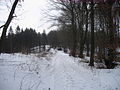 2010-02 Wittekindsweg Nonnenstein-Heidbrink 029.jpg