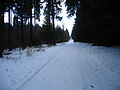 2010-02 Wittekindsweg Nonnenstein-Heidbrink 074.jpg