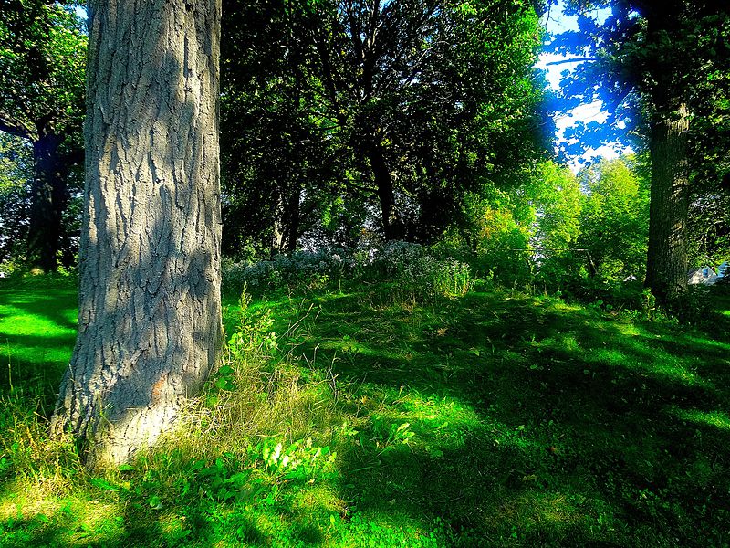 File:"Bird" Effigy Mound - panoramio (3).jpg