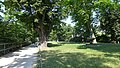 Hallerwiese P1000591.jpg