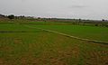 Pakhnguda3.jpg